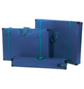 Panel Carry Cases