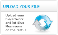 Upload Files